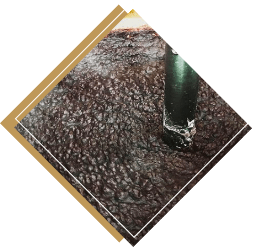 厄除けまんぢゅう